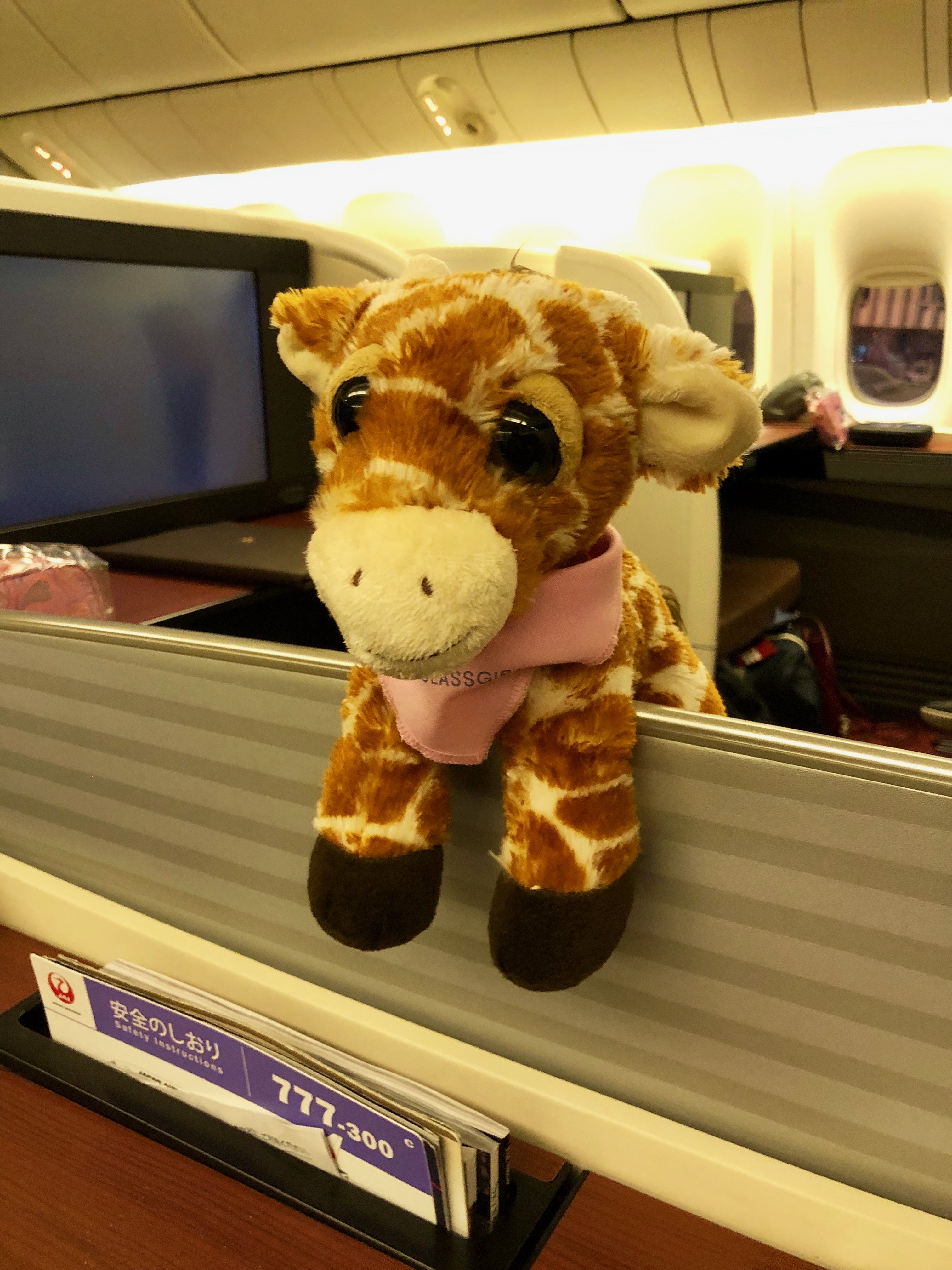 First Class Giraffe in JAL First Class