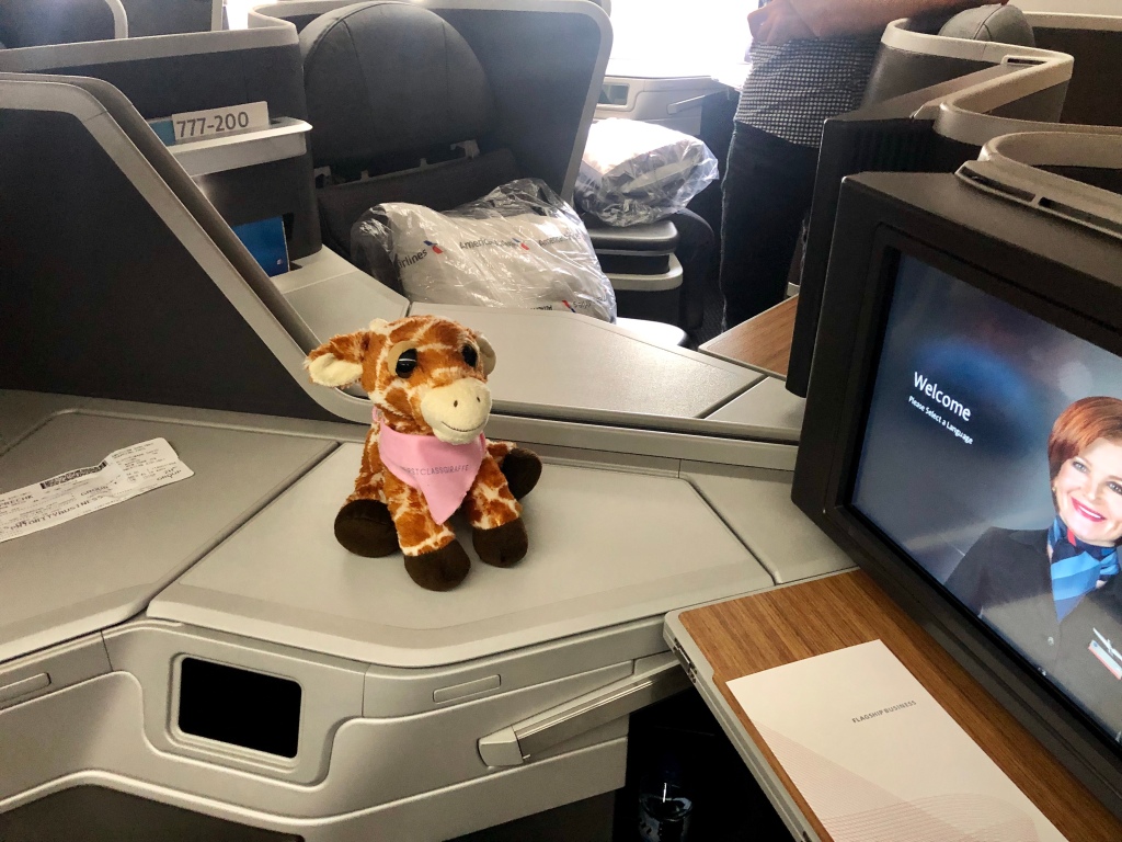 First Class Giraffe checking out the American Airlines 777-200 business class cabin